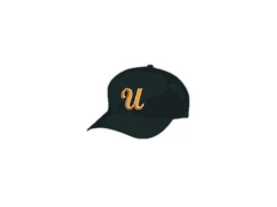 Union Twp Baseball Cap