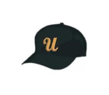 Union Twp Baseball Cap
