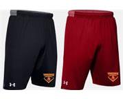 Vikes Baseball UA Locker Shorts