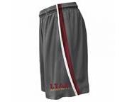 LTAA Basketball Shorts