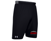 Under Armour Embroidered Shorts