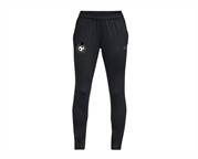Under Armour Tapered Training Pant
