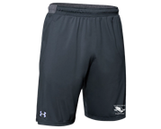 Under Armour Mens Shorts